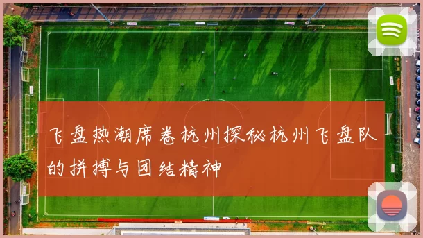 飞盘热潮席卷杭州探秘杭州飞盘队的拼搏与团结精神