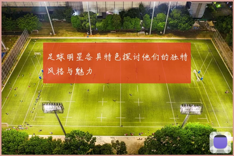 足球明星各具特色探讨他们的独特风格与魅力