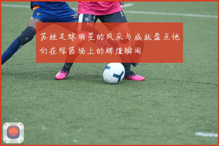 苏姓足球明星的风采与成就盘点他们在绿茵场上的辉煌瞬间