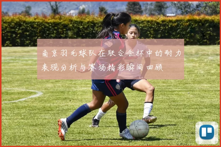 南京羽毛球队在联合会杯中的耐力表现分析与赛场精彩瞬间回顾