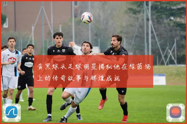 黄黑球衣足球明星揭秘他在绿茵场上的传奇故事与辉煌成就
