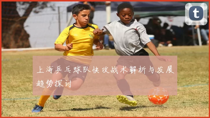 上海乒乓球队快攻战术解析与发展趋势探讨