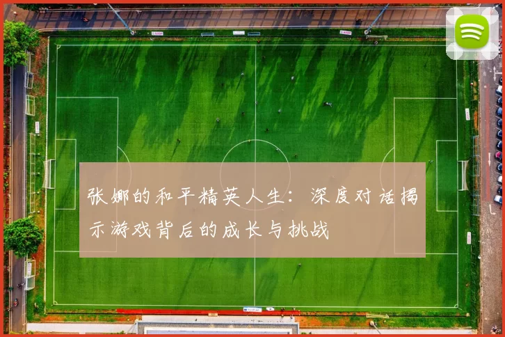 张娜的和平精英人生：深度对话揭示游戏背后的成长与挑战
