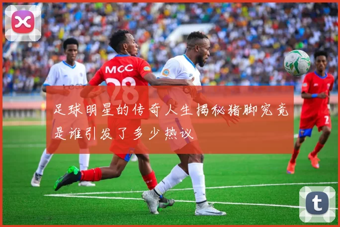 足球明星的传奇人生揭秘猪脚究竟是谁引发了多少热议
