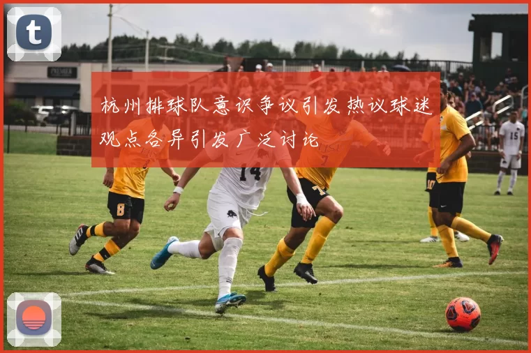 杭州排球队意识争议引发热议球迷观点各异引发广泛讨论
