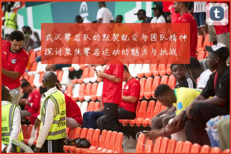 武汉攀岩队的默契配合与团队精神探讨聚焦攀岩运动的魅力与挑战