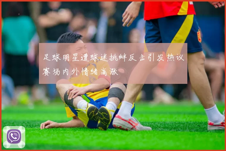 足球明星遭球迷挑衅反击引发热议赛场内外情绪高涨