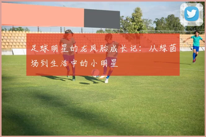 足球明星的龙凤胎成长记：从绿茵场到生活中的小明星