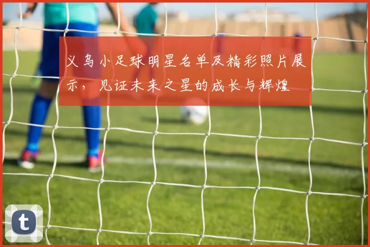义乌小足球明星名单及精彩照片展示，见证未来之星的成长与辉煌