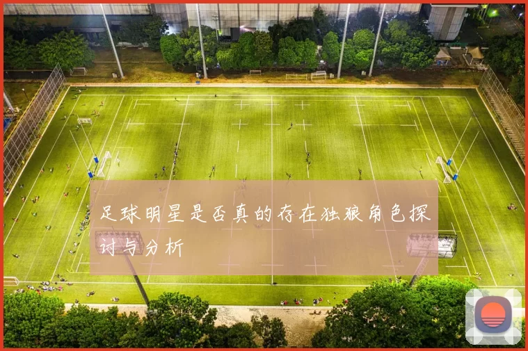 足球明星是否真的存在独狼角色探讨与分析