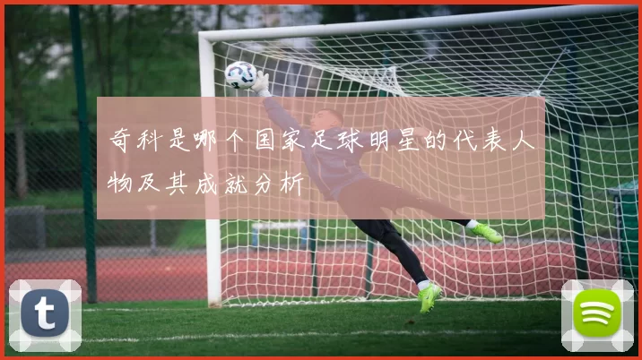 奇科是哪个国家足球明星的代表人物及其成就分析
