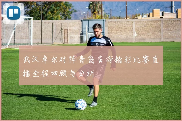 武汉卓尔对阵青岛黄海精彩比赛直播全程回顾与分析
