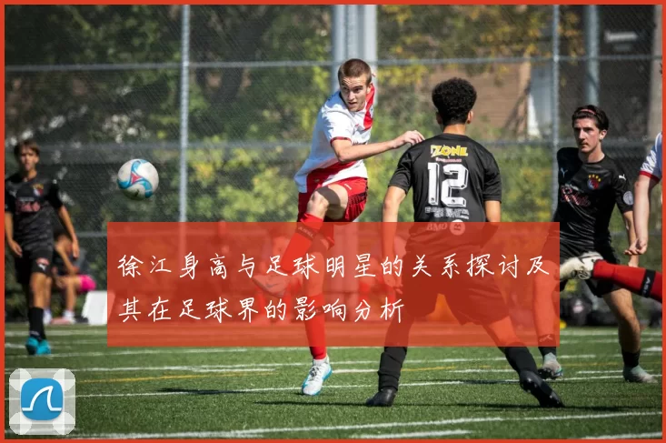 徐江身高与足球明星的关系探讨及其在足球界的影响分析
