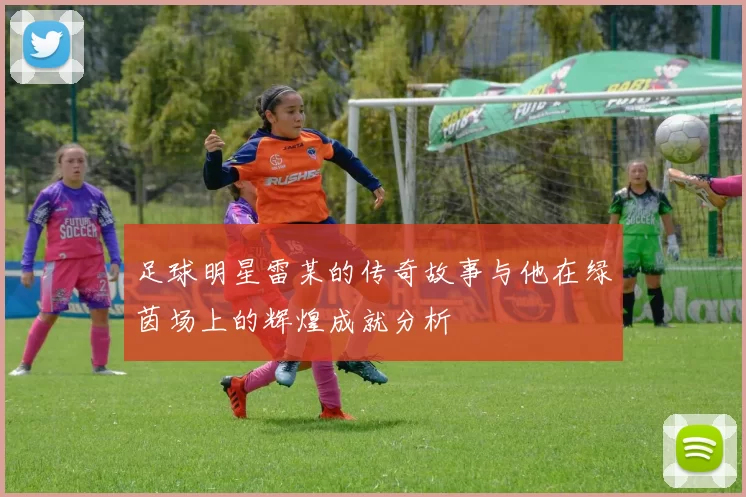 足球明星雷某的传奇故事与他在绿茵场上的辉煌成就分析