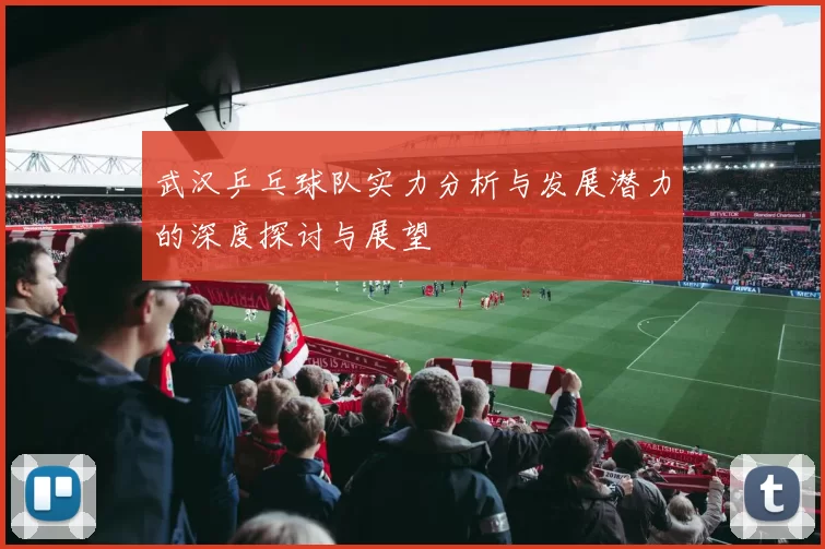 武汉乒乓球队实力分析与发展潜力的深度探讨与展望