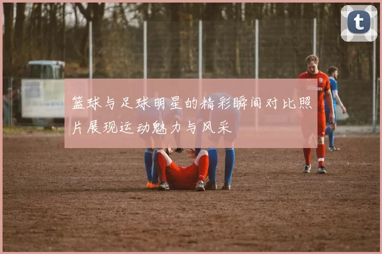 篮球与足球明星的精彩瞬间对比照片展现运动魅力与风采
