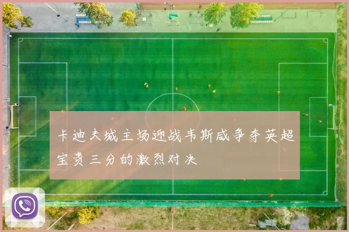 卡迪夫城主场迎战韦斯咸争夺英超宝贵三分的激烈对决