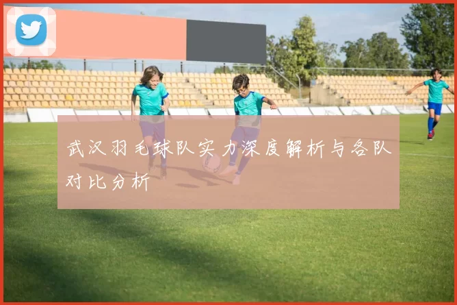 武汉羽毛球队实力深度解析与各队对比分析