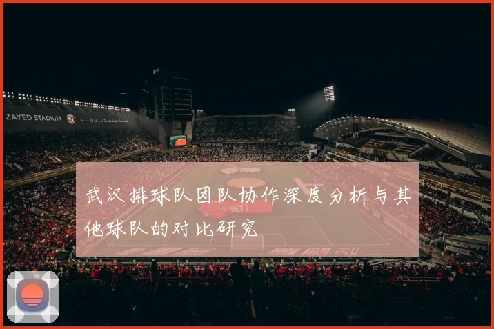 武汉排球队团队协作深度分析与其他球队的对比研究