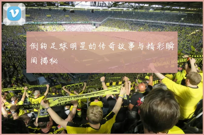 倒钩足球明星的传奇故事与精彩瞬间揭秘