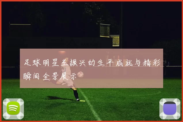 足球明星王振兴的生平成就与精彩瞬间全景展示