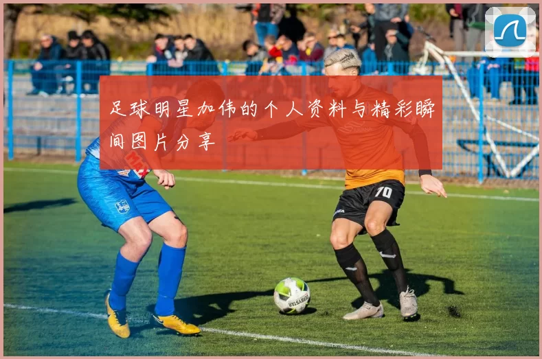 足球明星加伟的个人资料与精彩瞬间图片分享