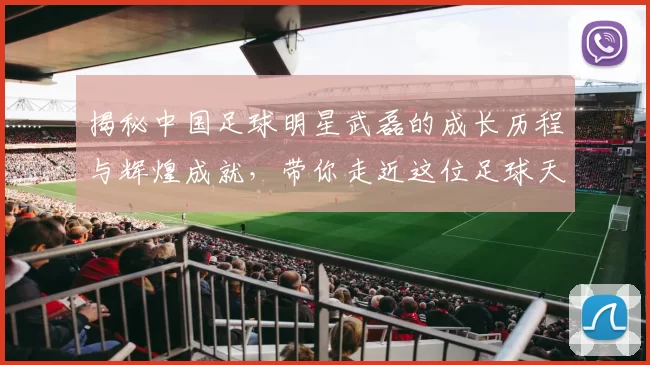 揭秘中国足球明星武磊的成长历程与辉煌成就，带你走近这位足球天才的故事