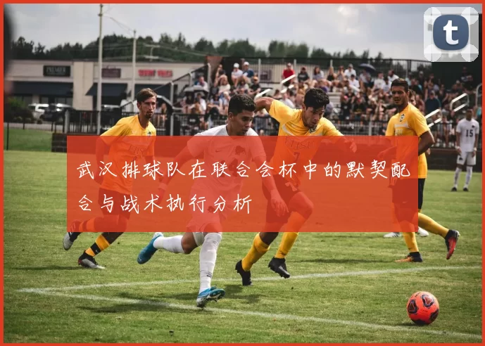 武汉排球队在联合会杯中的默契配合与战术执行分析