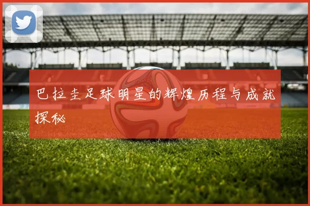 巴拉圭足球明星的辉煌历程与成就探秘