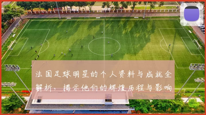 法国足球明星的个人资料与成就全解析，揭示他们的辉煌历程与影响力
