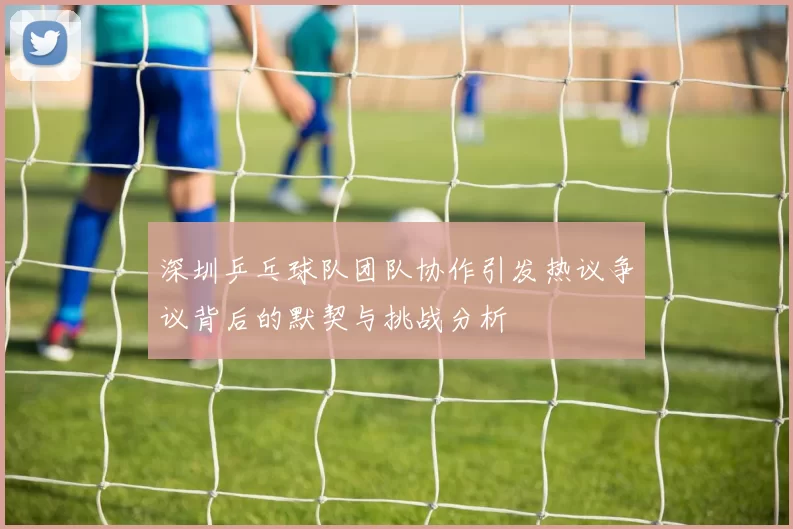 深圳乒乓球队团队协作引发热议争议背后的默契与挑战分析