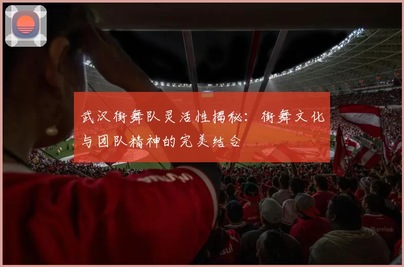 武汉街舞队灵活性揭秘：街舞文化与团队精神的完美结合