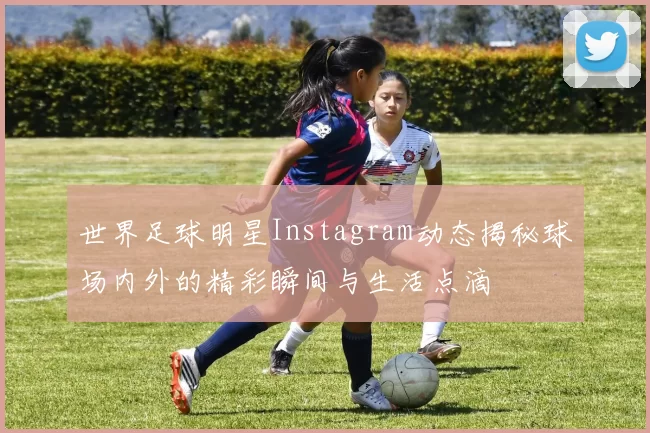 世界足球明星Instagram动态揭秘球场内外的精彩瞬间与生活点滴