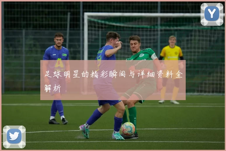 足球明星的精彩瞬间与详细资料全解析