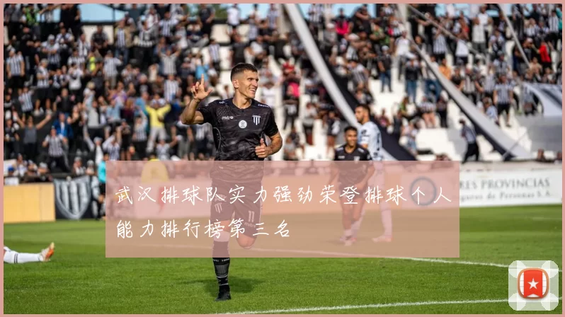 武汉排球队实力强劲荣登排球个人能力排行榜第三名