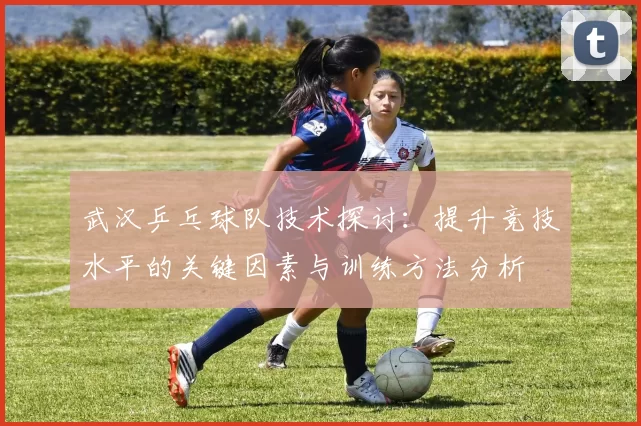 武汉乒乓球队技术探讨：提升竞技水平的关键因素与训练方法分析