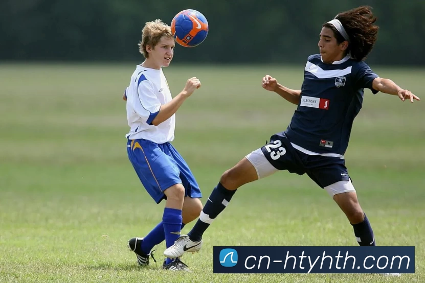 华体会平台生态图